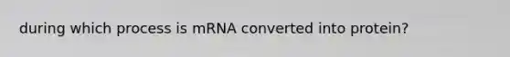 during which process is mRNA converted into protein?