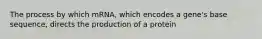 The process by which mRNA, which encodes a gene's base sequence, directs the production of a protein