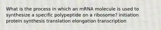 What is the process in which an mRNA molecule is used to synthesize a specific polypeptide on a ribosome? initiation protein synthesis translation elongation transcription