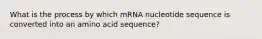 What is the process by which mRNA nucleotide sequence is converted into an amino acid sequence?