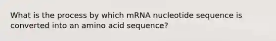 What is the process by which mRNA nucleotide sequence is converted into an amino acid sequence?