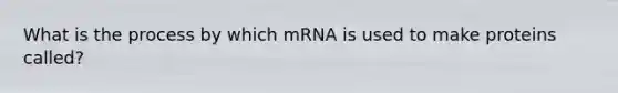 What is the process by which mRNA is used to make proteins called?