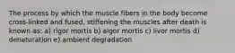 The process by which the muscle fibers in the body become cross-linked and fused, stiffening the muscles after death is known as: a) rigor mortis b) algor mortis c) livor mortis d) denaturation e) ambient degradation