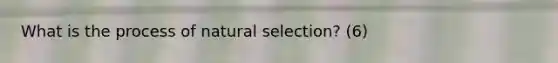 What is the process of natural selection? (6)