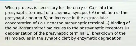 Which process is necessary for the entry of Ca+ into the presynaptic terminal of a chemical synapse? A) inhibition of the presynaptic neuron B) an increase in the extracellular concentration of Ca+ near the presynaptic terminal C) binding of the neurotransmitter molecules to the postsynaptic receptors D) depolarization of the presynaptic terminal E) breakdown of the NT molecules in the synaptic cleft by enzymatic degradation