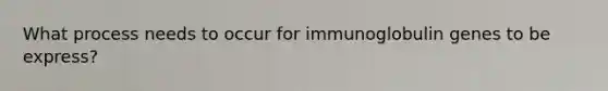 What process needs to occur for immunoglobulin genes to be express?