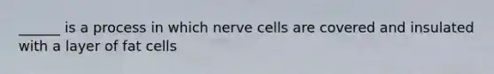 ______ is a process in which nerve cells are covered and insulated with a layer of fat cells