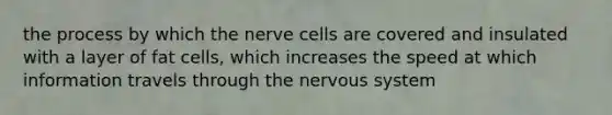 the process by which the nerve cells are covered and insulated with a layer of fat cells, which increases the speed at which information travels through the nervous system