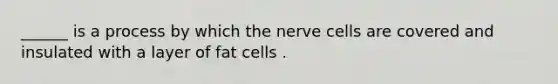 ______ is a process by which the nerve cells are covered and insulated with a layer of fat cells .