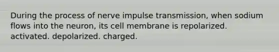 During the process of nerve impulse transmission, when sodium flows into the neuron, its cell membrane is repolarized. activated. depolarized. charged.