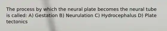 The process by which the neural plate becomes the neural tube is called: A) Gestation B) Neurulation C) Hydrocephalus D) Plate tectonics