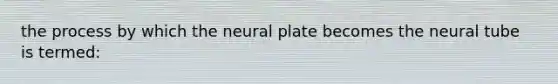 the process by which the neural plate becomes the neural tube is termed: