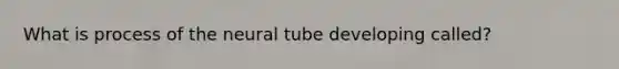 What is process of the neural tube developing called?