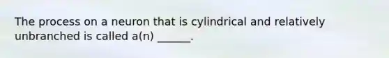 The process on a neuron that is cylindrical and relatively unbranched is called a(n) ______.