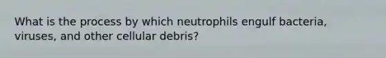 What is the process by which neutrophils engulf bacteria, viruses, and other cellular debris?