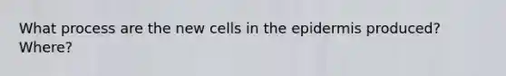 What process are the new cells in the epidermis produced? Where?