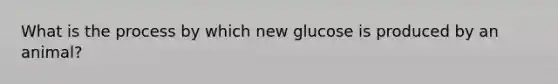 What is the process by which new glucose is produced by an animal?