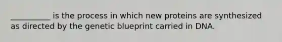 __________ is the process in which new proteins are synthesized as directed by the genetic blueprint carried in DNA.