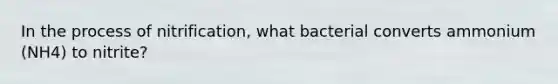 In the process of nitrification, what bacterial converts ammonium (NH4) to nitrite?