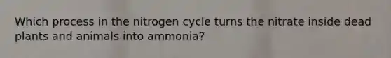 Which process in the nitrogen cycle turns the nitrate inside dead plants and animals into ammonia?