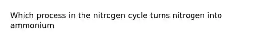 Which process in the nitrogen cycle turns nitrogen into ammonium