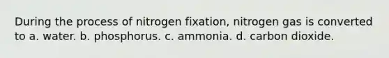 During the process of nitrogen fixation, nitrogen gas is converted to a. water. b. phosphorus. c. ammonia. d. carbon dioxide.