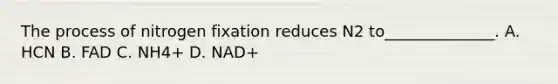 The process of nitrogen fixation reduces N2 to______________. A. HCN B. FAD C. NH4+ D. NAD+