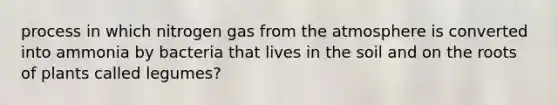 process in which nitrogen gas from the atmosphere is converted into ammonia by bacteria that lives in the soil and on the roots of plants called legumes?