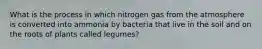 What is the process in which nitrogen gas from the atmosphere is converted into ammonia by bacteria that live in the soil and on the roots of plants called legumes?