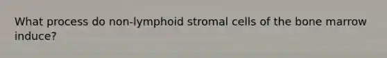 What process do non-lymphoid stromal cells of the bone marrow induce?