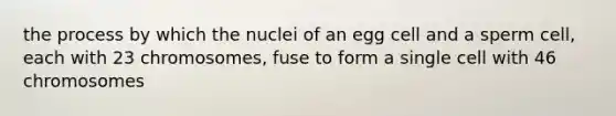 the process by which the nuclei of an egg cell and a sperm cell, each with 23 chromosomes, fuse to form a single cell with 46 chromosomes