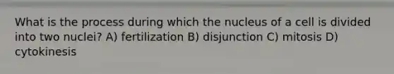 What is the process during which the nucleus of a cell is divided into two nuclei? A) fertilization B) disjunction C) mitosis D) cytokinesis