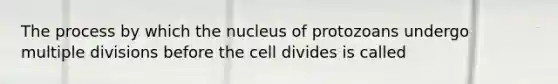 The process by which the nucleus of protozoans undergo multiple divisions before the cell divides is called