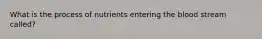 What is the process of nutrients entering the blood stream called?