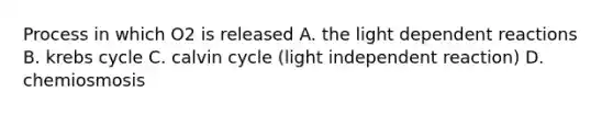 Process in which O2 is released A. the light dependent reactions B. krebs cycle C. calvin cycle (light independent reaction) D. chemiosmosis