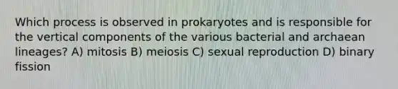 Which process is observed in prokaryotes and is responsible for the vertical components of the various bacterial and archaean lineages? A) mitosis B) meiosis C) sexual reproduction D) binary fission