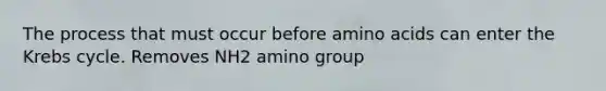 The process that must occur before amino acids can enter the Krebs cycle. Removes NH2 amino group