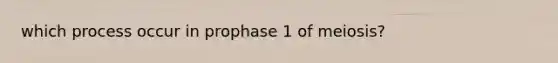 which process occur in prophase 1 of meiosis?