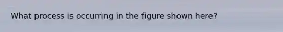 What process is occurring in the figure shown here?