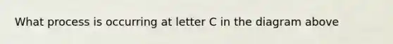What process is occurring at letter C in the diagram above