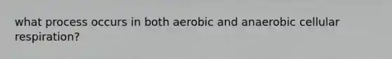 what process occurs in both aerobic and anaerobic cellular respiration?