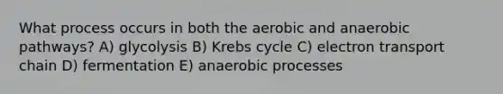 What process occurs in both the aerobic and anaerobic pathways? A) glycolysis B) Krebs cycle C) electron transport chain D) fermentation E) anaerobic processes