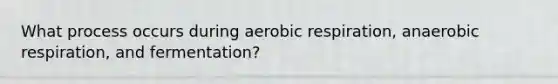 What process occurs during aerobic respiration, anaerobic respiration, and fermentation?