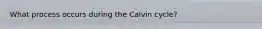 What process occurs during the Calvin cycle?