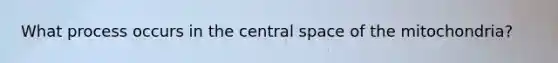 What process occurs in the central space of the mitochondria?