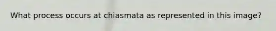 What process occurs at chiasmata as represented in this image?