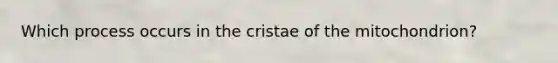 Which process occurs in the cristae of the mitochondrion?