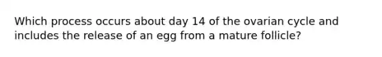 Which process occurs about day 14 of the ovarian cycle and includes the release of an egg from a mature follicle?