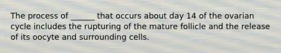 The process of ______ that occurs about day 14 of the ovarian cycle includes the rupturing of the mature follicle and the release of its oocyte and surrounding cells.