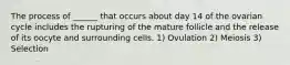 The process of ______ that occurs about day 14 of the ovarian cycle includes the rupturing of the mature follicle and the release of its oocyte and surrounding cells. 1) Ovulation 2) Meiosis 3) Selection